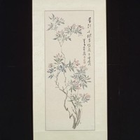 藏品(花卉)的圖片