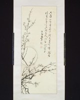藏品(梅)的圖片