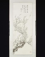 藏品(梅)的圖片
