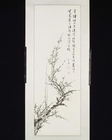 藏品(梅)的圖片