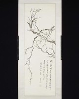 藏品(梅)的圖片