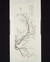 藏品(梅)的圖片