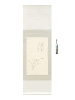 藏品(雙鉤蘭)的圖片