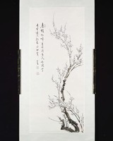 藏品(梅)的圖片