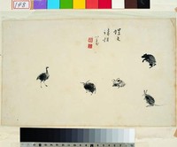 藏品(螺紋諸相)的圖片