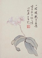 藏品(蝴蝶蘭)的圖片