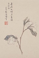 藏品(素姿映月)的圖片