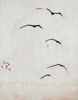 藏品(海鷗)的圖片