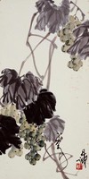 藏品(葡萄)的圖片