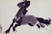 藏品(馬)的圖片