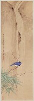 藏品(山禽)的圖片