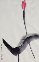 藏品(荷、葉)的圖片