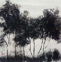 藏品(無題)的圖片