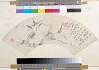 藏品(竹石扇面)的圖片