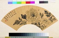 藏品(牡丹扇面)的圖片