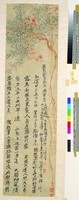 藏品(丹荔圖)的圖片