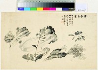 藏品(白菜扇面)的圖片