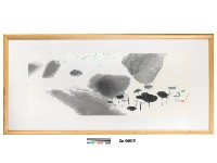 藏品(荷花)的圖片