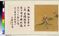 藏品(中國佛教故事圖冊)的圖片