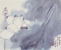 藏品(荷花)的圖片