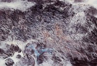 藏品(蘆花時節)的圖片