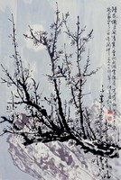 藏品(梅)的圖片