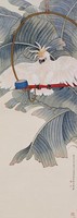 藏品(芭蕉鸚鵡)的圖片
