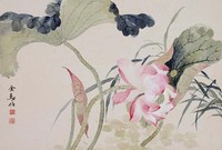 藏品(荷塘盛夏)的圖片