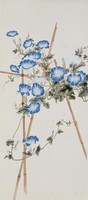藏品(牽牛花)的圖片