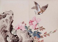 藏品(花卉冊頁)的圖片