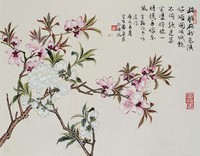 藏品(桃花)的圖片