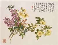 藏品(折枝花卉)的圖片