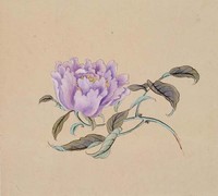 藏品(折枝牡丹)的圖片