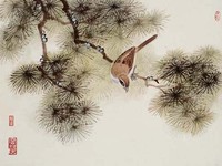 藏品(松間山雀)的圖片