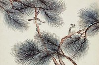 藏品(松蔭小鳥)的圖片