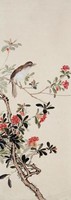藏品(紅花山鳥)的圖片