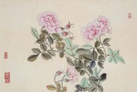 藏品(牡丹)的圖片