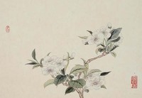 藏品(梨花)的圖片