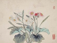 藏品(水仙菊花)的圖片