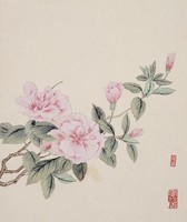 藏品(牡丹)的圖片