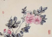 藏品(牡丹)的圖片