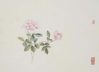藏品(玫瑰)的圖片