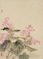 藏品(海棠)的圖片