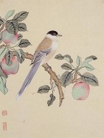 藏品(桃實小鳥)的圖片