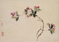 藏品(海棠)的圖片