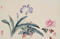 藏品(雙姝爭豔)的圖片