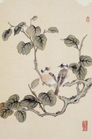 藏品(雙白頭)的圖片