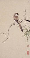 藏品(枝頭山雀)的圖片