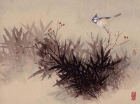 藏品(紅果藍鶲)的圖片