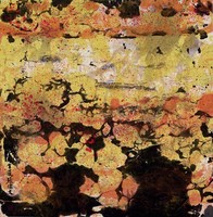 藏品(洪荒之二)的圖片